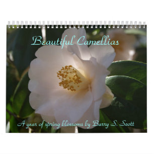 Beau calendrier de camélias