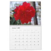 Beau calendrier de camélias (Jan 2027)