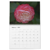 Beau calendrier de camélias (Feb 2027)