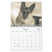 Beau calendrier de chien de berger allemand (Jan 2026)
