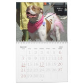Beau calendrier de chien de Bullys 2011 (Mar 2027)
