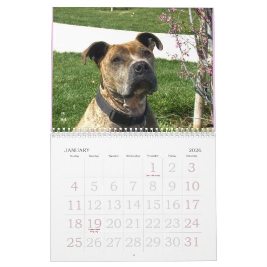 Beau calendrier de chien de Bullys 2011 (Jan 2026)