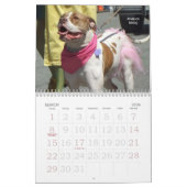 Beau calendrier de chien de Bullys 2011 (Mar 2026)