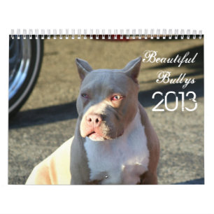 Beau calendrier de chien de Bullys 2013