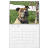 Beau calendrier de chien de Bullys 2013 (Jan 2027)