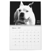 Beau calendrier de chien de Bullys 2013 (Feb 2027)