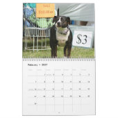 Beau calendrier de chien de Pitbulls 2018 (Feb 2027)