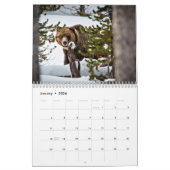 Beau calendrier de la faune de Yellowstone (Jan 2026)