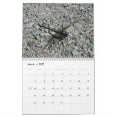 Beau calendrier de libellules (Mar 2027)