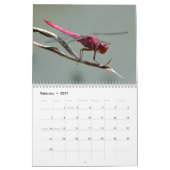 Beau calendrier de libellules (Feb 2027)