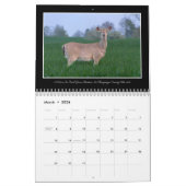 Beau calendrier de l'Ohio 2017 par Thomas Minutolo (Mar 2026)