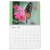 Beau calendrier de papillons (Feb 2026)