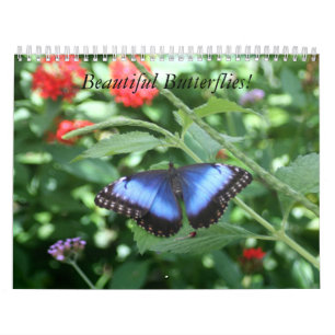Beau calendrier de papillons
