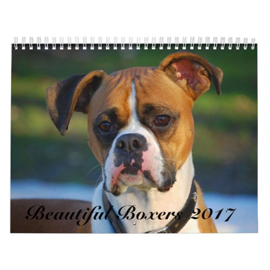 Beau calendrier des boxeurs 2017 (Protection)