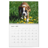 Beau calendrier des boxeurs 2017 (Mar 2027)