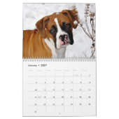 Beau calendrier des boxeurs 2017 (Jan 2027)