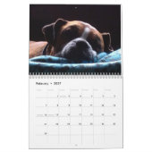 Beau calendrier des boxeurs 2017 (Feb 2027)