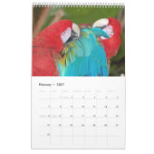 Beau calendrier des oiseaux (Feb 2027)