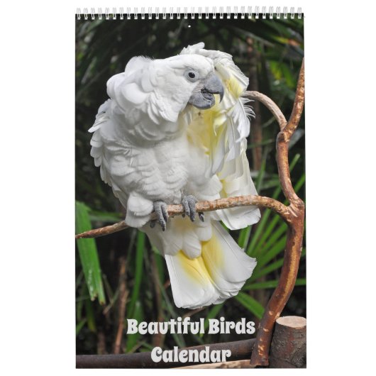 Beau calendrier des oiseaux (Protection)