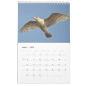 Beau calendrier des oiseaux (Mar 2026)