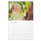 Beau calendrier des oiseaux (Jan 2026)