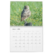 Beau calendrier des oiseaux 2016 (Mar 2026)