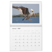 Beau calendrier des oiseaux 2016 (Jan 2027)