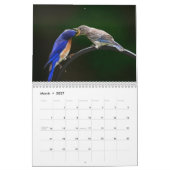 Beau calendrier des oiseaux Jardins (Mar 2027)