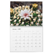 Beau calendrier des paysages désertiques (Jan 2027)