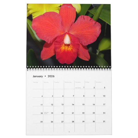 Beau calendrier Orchidées 2021 (Jan 2026)