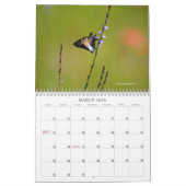 Beau calendrier papillons et papillons de nuit (Mar 2026)