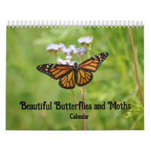 Beau calendrier papillons et papillons de nuit