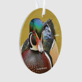 Beau canard à bois dans l'étang (devant)