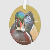 Beau canard à bois dans l'étang (devant)