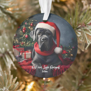 Beau Cane Corso avec chapeau de Père Noël