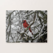 Beau Cardinal Rouge dans Puzzle d'arbre rempli de (Horizontal)