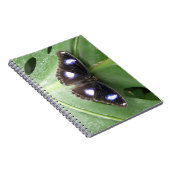 Beau Carnet à papillon bleu tacheté (Côté Droit)