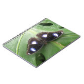 Beau Carnet à papillon bleu tacheté (Côté gauche)