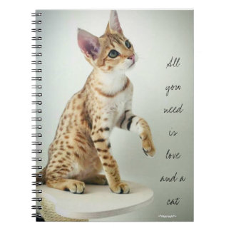 Beau carnet d'amoureux des chats