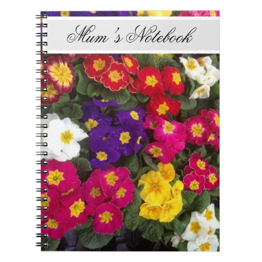 Beau Carnet de fleurs de Polyanthus brillant (Devant)