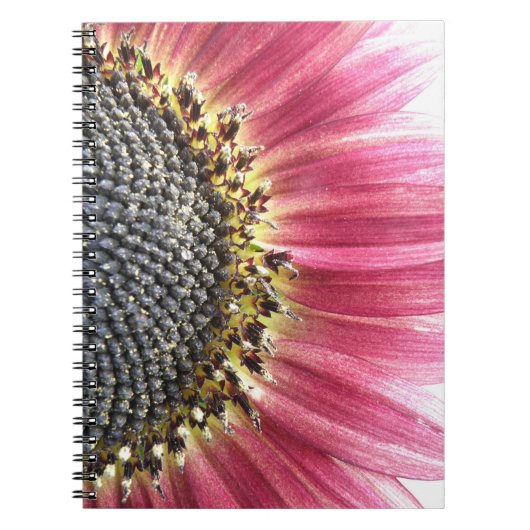 Beau Carnet de tournesol rose (Devant)