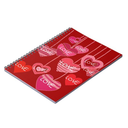 Beau Carnet d'expressions (Côté gauche)