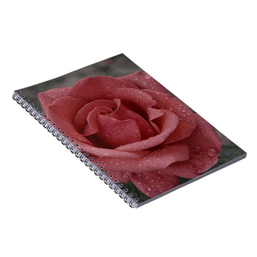 Beau Carnet d'impression Rose - Idéal pour l'écrit (Côté Droit)