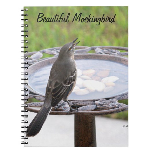 Beau Carnet Mockingbird Birdbath (Devant)