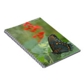Beau Carnet papillon (Côté Droit)