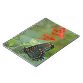 Beau Carnet papillon (Côté gauche)