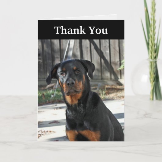 Beau carte de remerciements de rottweiler (Devant)