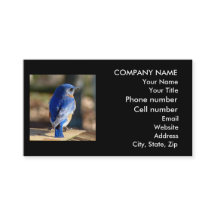 Beau Carte de visite Bluebird
