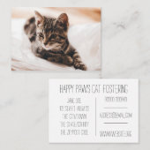 Beau carte de visite de chaton (Devant / Derrière)