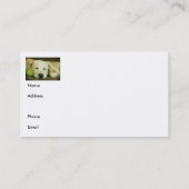 Beau carte de visite de chiot (Dos)